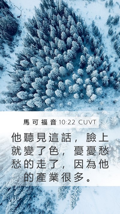 馬 可 福 音 10:22 CUVT Mobile Phone Wallpaper - 他 聽 見 這 話 ， 臉 上 就 變 了 色 - Mobile Bible Verse Wallpaper