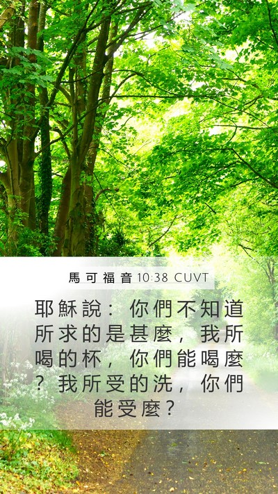 馬 可 福 音 10:38 CUVT Mobile Phone Wallpaper - 耶 穌 說 ： 你 們 不 知 道 所 求 的 - Mobile Bible Verse Wallpaper