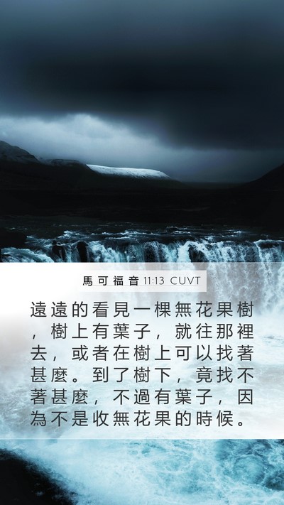 馬 可 福 音 11:13 CUVT Mobile Phone Wallpaper - 遠 遠 的 看 見 一 棵 無 花 果 樹 ， - Mobile Bible Verse Wallpaper