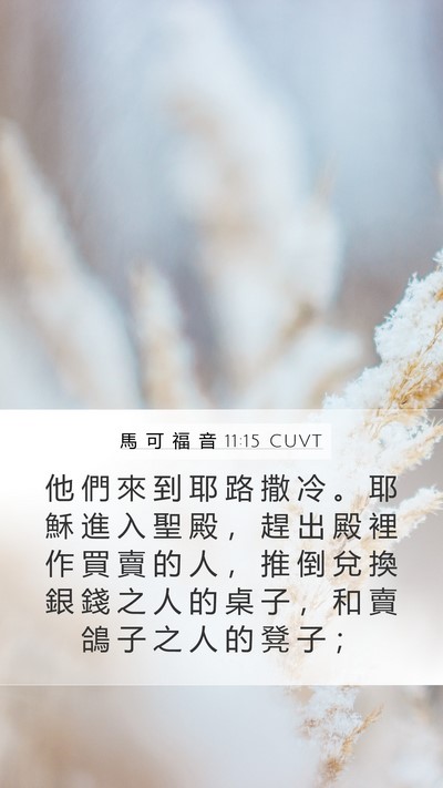 馬 可 福 音 11:15 CUVT Bible Verse Image