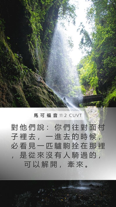 馬 可 福 音 11:2 CUVT Bible Verse Image