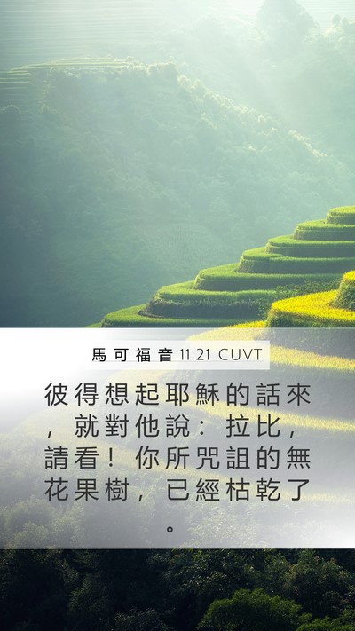 馬 可 福 音 11:21 CUVT Mobile Phone Wallpaper - 彼 得 想 起 耶 穌 的 話 來 ， 就 對 - Mobile Bible Verse Wallpaper