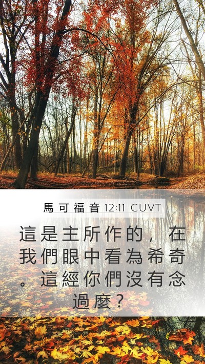 馬 可 福 音 12:11 CUVT Mobile Phone Wallpaper - 這 是 主 所 作 的 ， 在 我 們 眼 中 - Mobile Bible Verse Wallpaper