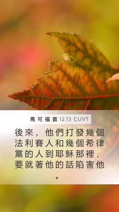 馬 可 福 音 12:13 CUVT Bible Verse Image