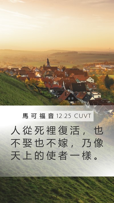 馬 可 福 音 12:25 CUVT Bible Verse Image
