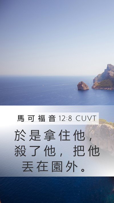 馬 可 福 音 12:8 CUVT Mobile Phone Wallpaper - 於 是 拿 住 他 ， 殺 了 他 ， 把 他 - Mobile Bible Verse Wallpaper