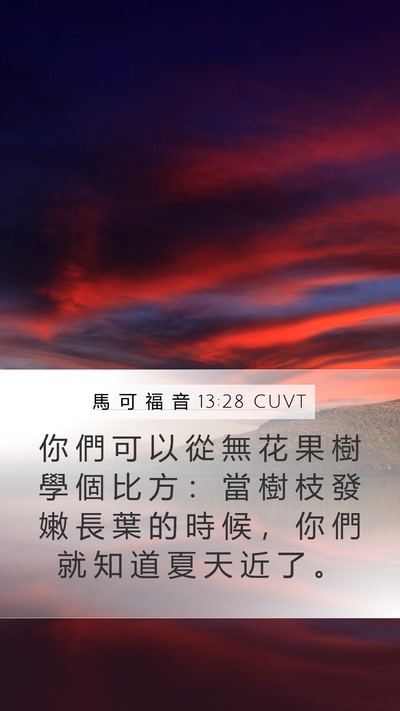 馬 可 福 音 13:28 CUVT Bible Verse Image