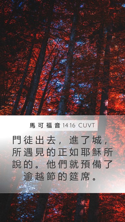 馬 可 福 音 14:16 CUVT Bible Verse Image