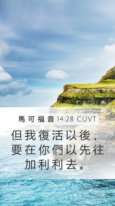 馬 可 福 音 14:28 CUVT Bible Verse Image