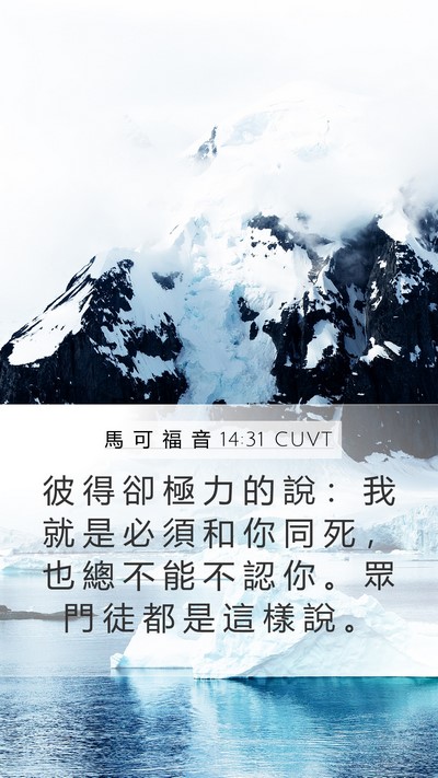 馬 可 福 音 14:31 CUVT Bible Verse Image