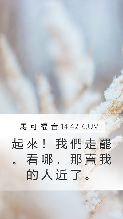 馬 可 福 音 14:42 CUVT Mobile Phone Wallpaper - 起 來 ！ 我 們 走 罷 。 看 哪 ， 那 - Mobile Bible Verse Wallpaper