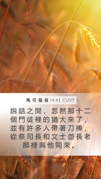 馬 可 福 音 14:43 CUVT Bible Verse Image