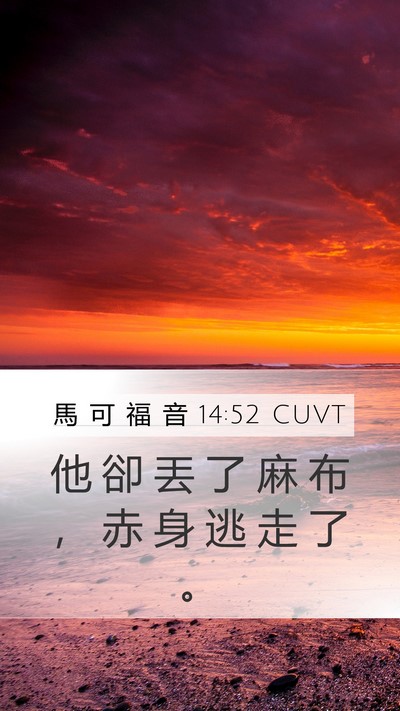 馬 可 福 音 14:52 CUVT Mobile Phone Wallpaper - 他 卻 丟 了 麻 布 ， 赤 身 逃 走 了 - Mobile Bible Verse Wallpaper