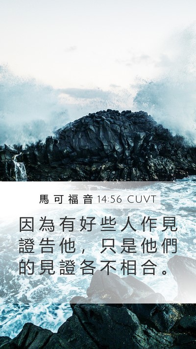 馬 可 福 音 14:56 CUVT Bible Verse Image