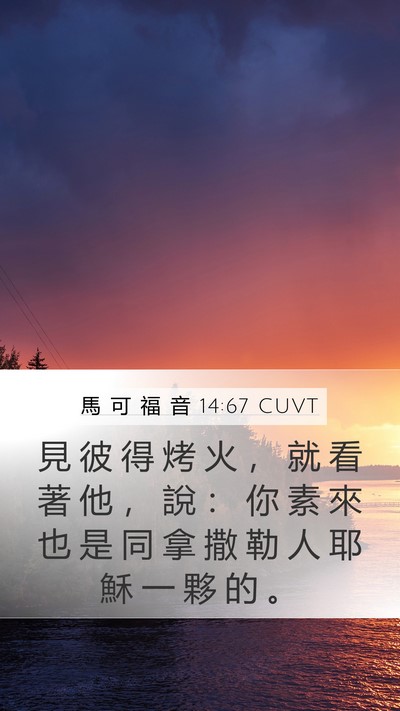 馬 可 福 音 14:67 CUVT Mobile Phone Wallpaper - 見 彼 得 烤 火 ， 就 看 著 他 ， 說 - Mobile Bible Verse Wallpaper