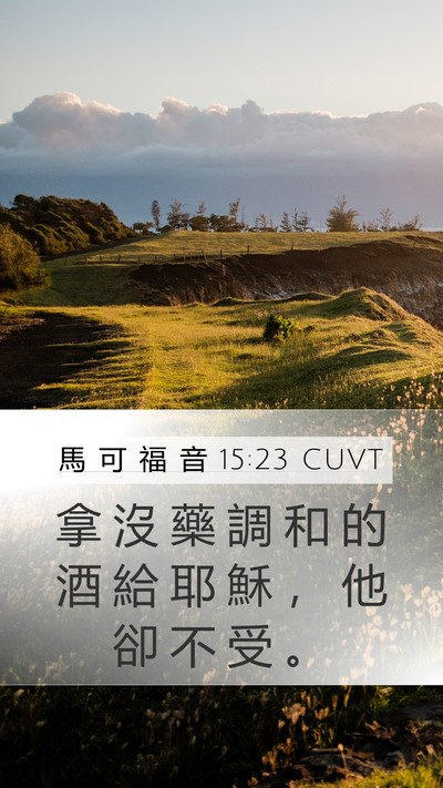 馬 可 福 音 15:23 CUVT Mobile Phone Wallpaper - 拿 沒 藥 調 和 的 酒 給 耶 穌 ， 他 - Mobile Bible Verse Wallpaper