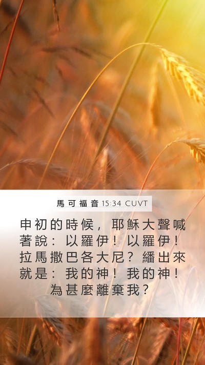 馬 可 福 音 15:34 CUVT Bible Verse Image