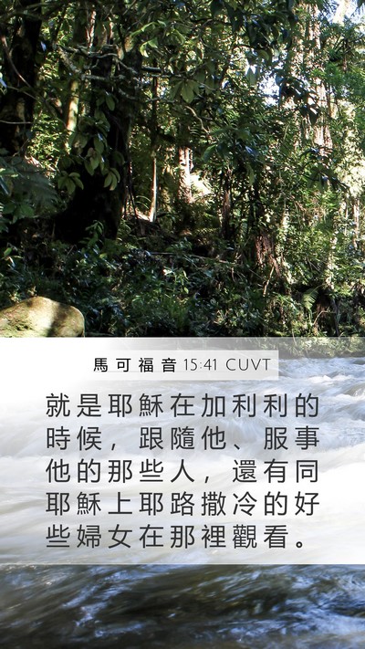 馬 可 福 音 15:41 CUVT Mobile Phone Wallpaper - 就 是 耶 穌 在 加 利 利 的 時 候 ， - Mobile Bible Verse Wallpaper
