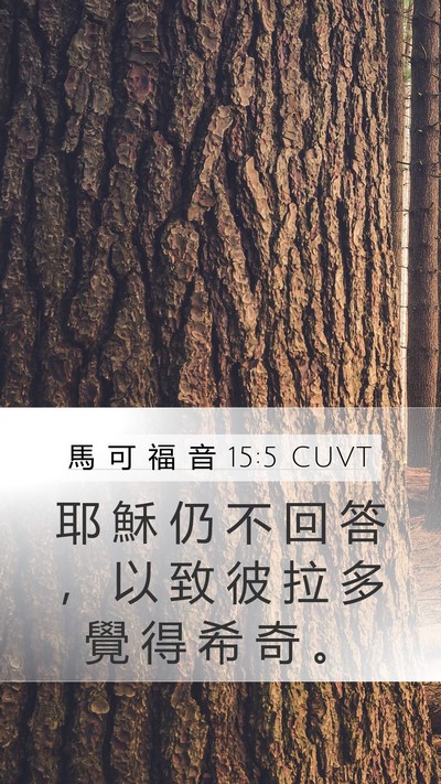 馬 可 福 音 15:5 CUVT Mobile Phone Wallpaper - 耶 穌 仍 不 回 答 ， 以 致 彼 拉 多 - Mobile Bible Verse Wallpaper