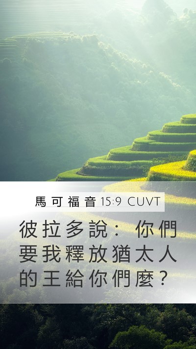 馬 可 福 音 15:9 CUVT Bible Verse Image