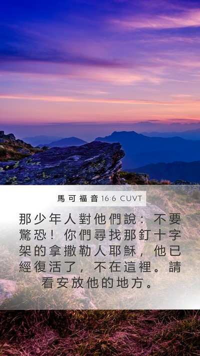 馬 可 福 音 16:6 CUVT Mobile Phone Wallpaper - 那 少 年 人 對 他 們 說 ： 不 要 驚 - Mobile Bible Verse Wallpaper