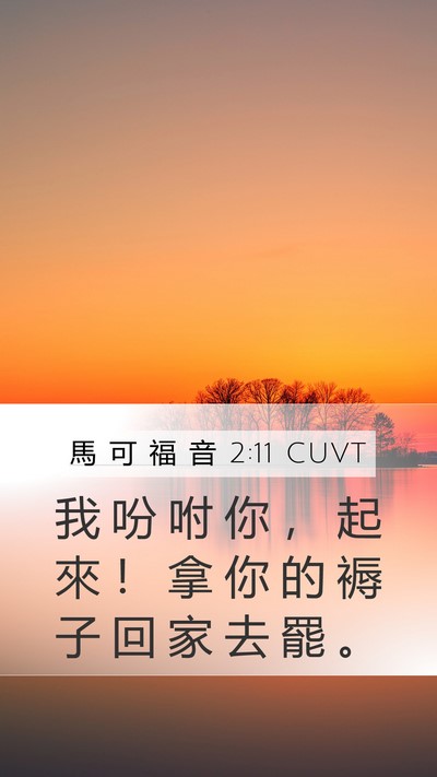 馬 可 福 音 2:11 CUVT Bible Verse Image