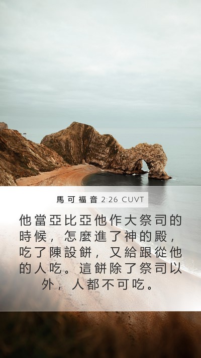 馬 可 福 音 2:26 CUVT Mobile Phone Wallpaper - 他 當 亞 比 亞 他 作 大 祭 司 的 時 - Mobile Bible Verse Wallpaper