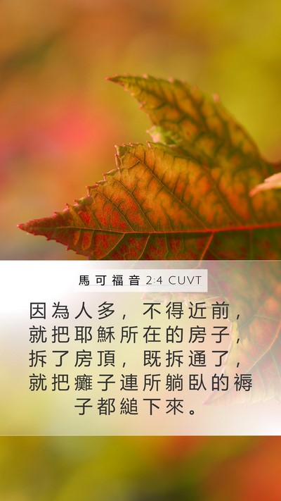 馬 可 福 音 2:4 CUVT Bible Verse Image