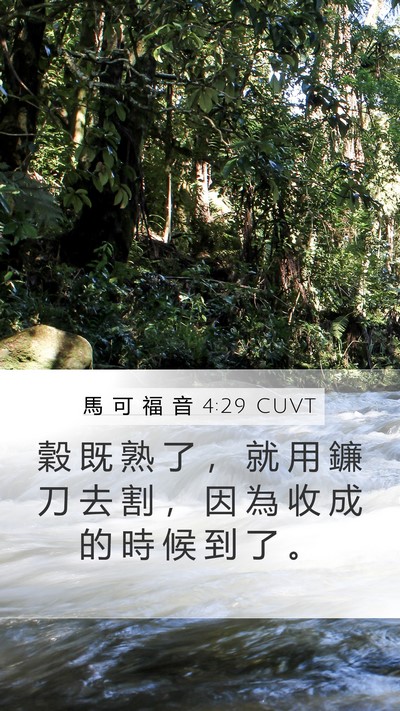 馬 可 福 音 4:29 CUVT Bible Verse Image