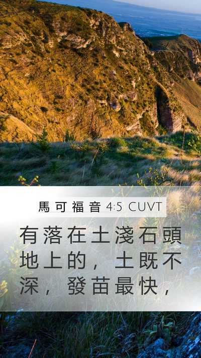 馬 可 福 音 4:5 CUVT Bible Verse Image