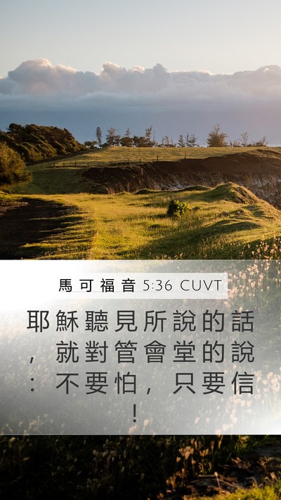 馬 可 福 音 5:36 CUVT Mobile Phone Wallpaper - 耶 穌 聽 見 所 說 的 話 ， 就 對 管 - Mobile Bible Verse Wallpaper