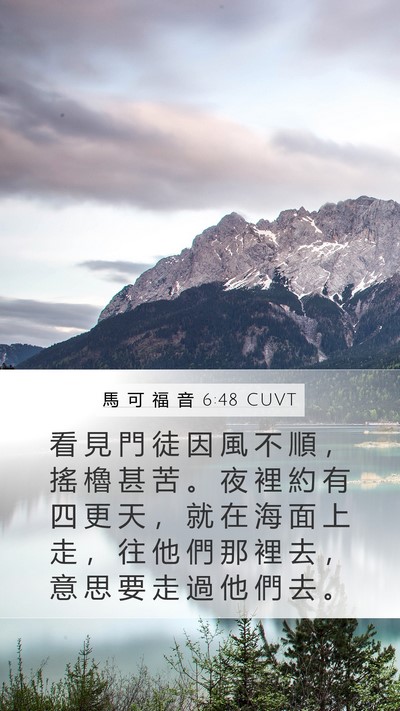 馬 可 福 音 6:48 CUVT Bible Verse Image