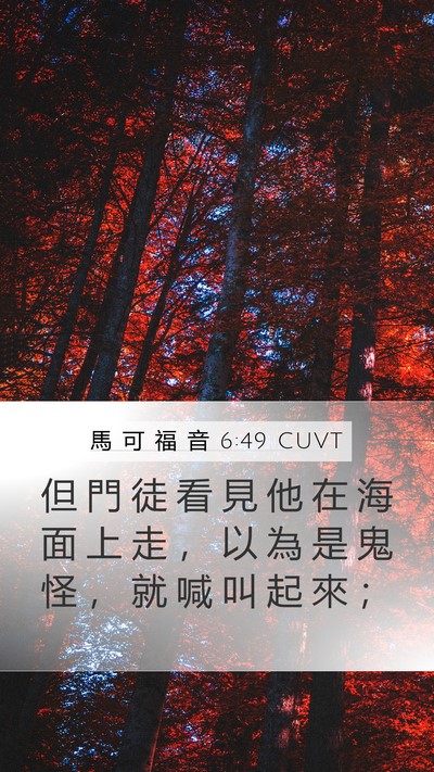 馬 可 福 音 6:49 CUVT Bible Verse Image
