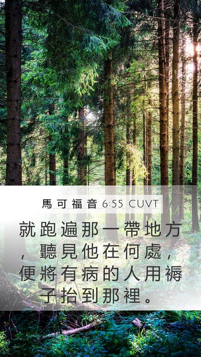 馬 可 福 音 6:55 CUVT Bible Verse Image