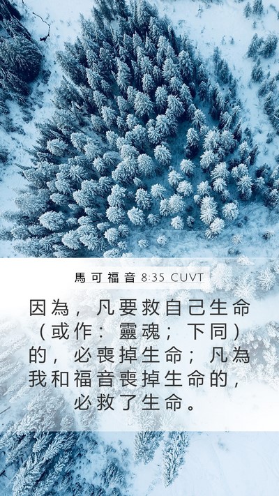 馬 可 福 音 8:35 CUVT Bible Verse Image