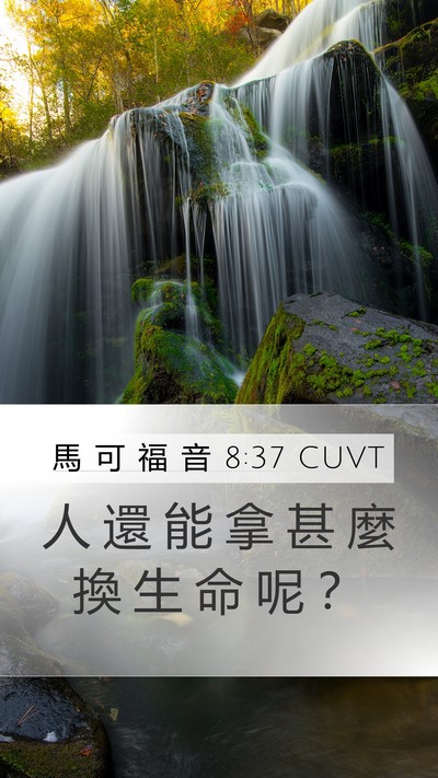 馬 可 福 音 8:37 CUVT Mobile Phone Wallpaper - 人 還 能 拿 甚 麼 換 生 命 呢 - Mobile Bible Verse Wallpaper