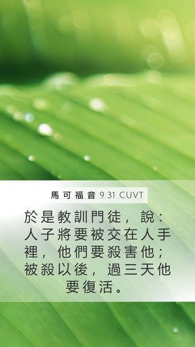 馬 可 福 音 9:31 CUVT Bible Verse Image