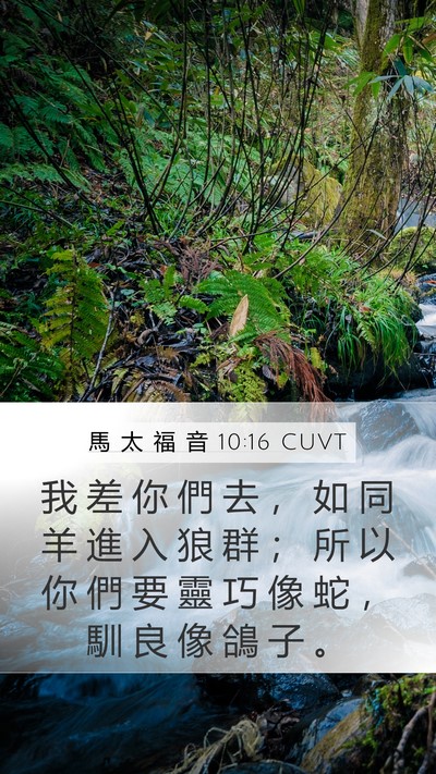 馬 太 福 音 10:16 CUVT Bible Verse Image