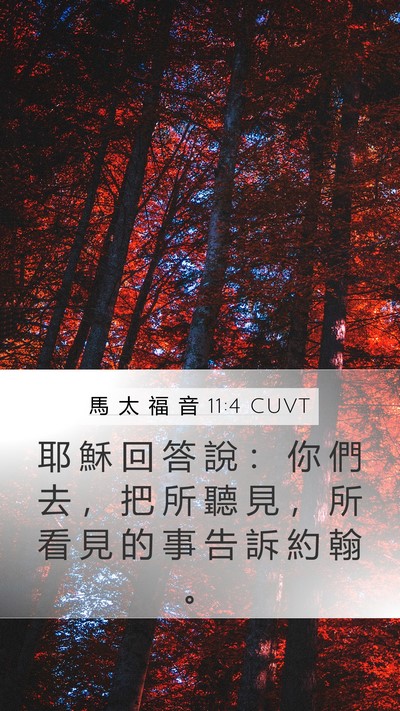 馬 太 福 音 11:4 CUVT Bible Verse Image