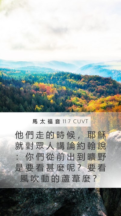 馬 太 福 音 11:7 CUVT Bible Verse Image