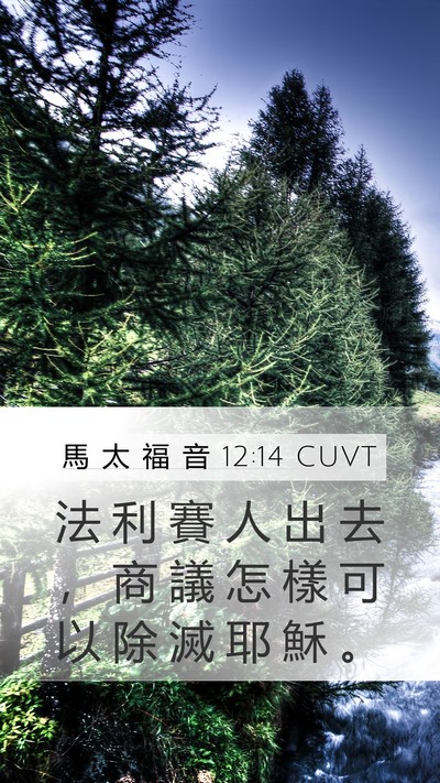 馬 太 福 音 12:14 CUVT Bible Verse Image