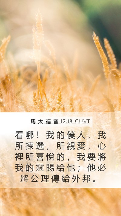 馬 太 福 音 12:18 CUVT Bible Verse Image