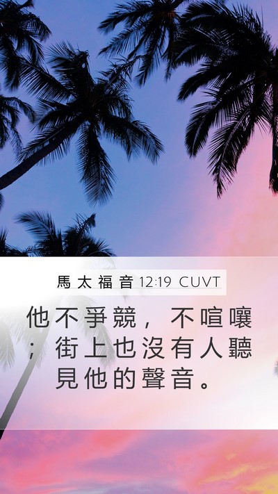 馬 太 福 音 12:19 CUVT Bible Verse Image