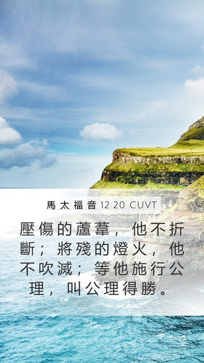 馬 太 福 音 12:20 CUVT Bible Verse Image
