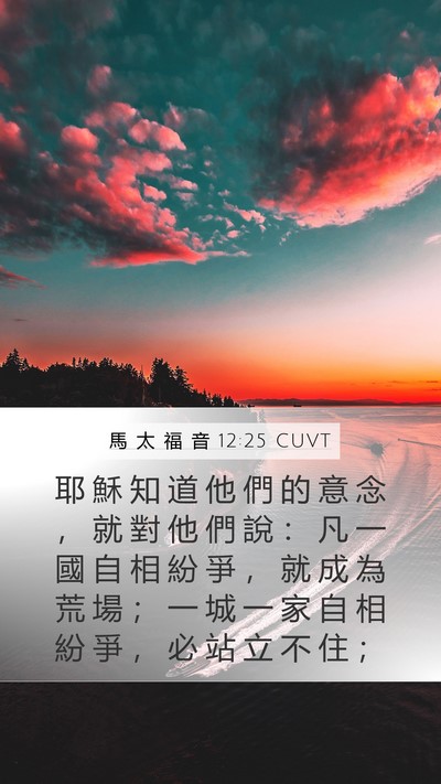 馬 太 福 音 12:25 CUVT Bible Verse Image