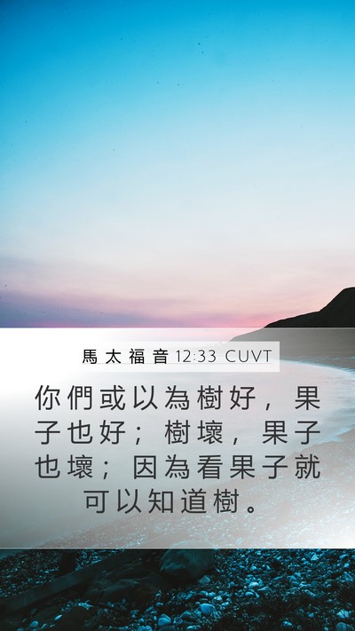 馬 太 福 音 12:33 CUVT Bible Verse Image