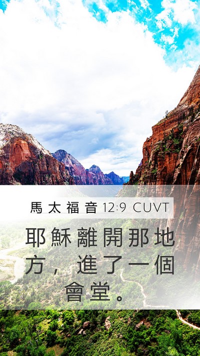 馬 太 福 音 12:9 CUVT Mobile Phone Wallpaper - 耶 穌 離 開 那 地 方 ， 進 了 一 個 - Mobile Bible Verse Wallpaper