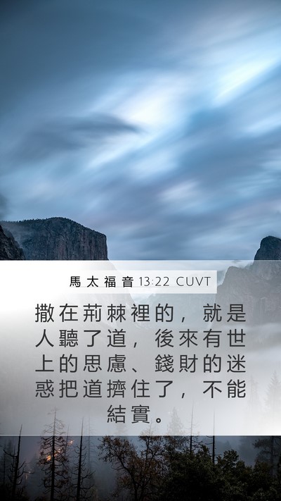 馬 太 福 音 13:22 CUVT Bible Verse Image
