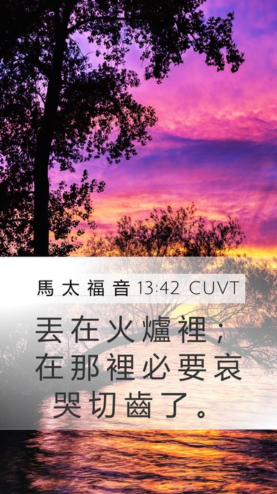 馬 太 福 音 13:42 CUVT Bible Verse Image