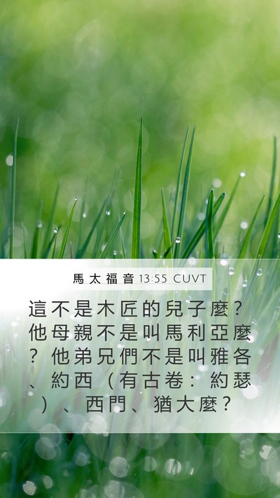 馬 太 福 音 13:55 CUVT Bible Verse Image